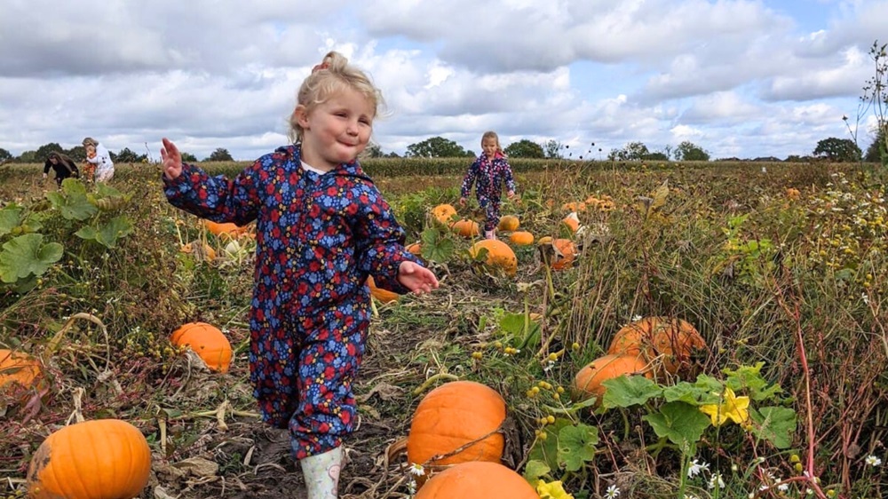 Pumpkin Patch at Tatton Park